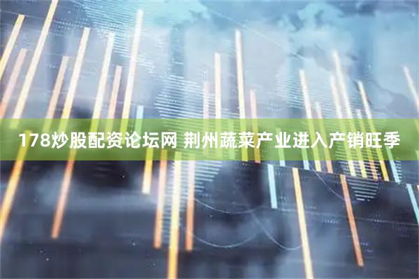 178炒股配资论坛网 荆州蔬菜产业进入产销旺季
