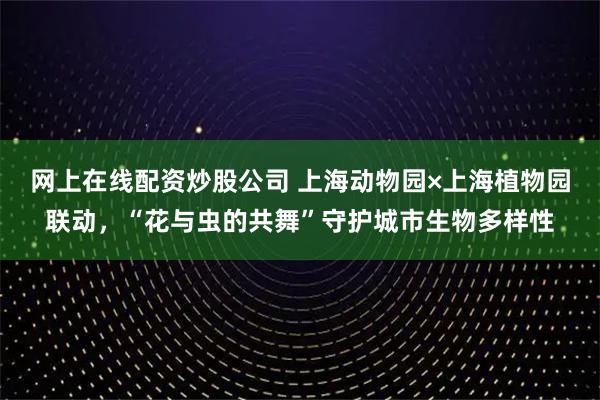 网上在线配资炒股公司 上海动物园×上海植物园联动，“花与虫的共舞”守护城市生物多样性